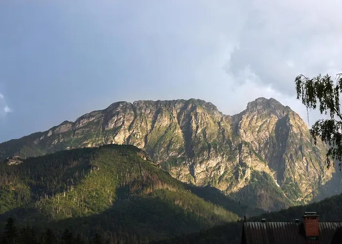 Apartment Wojciecha Brzegi Zakopane By Noclegi Renters